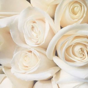 White roses